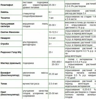 Схема подкормки помидоров в теплице