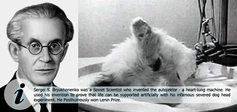 Брюхоненко