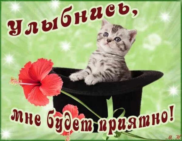 Улыбнись тебя любят. Улыбнись вчк будет хорошо. улыбнись. улыбнись все будет хорошо. улыбнись пожалуйста.