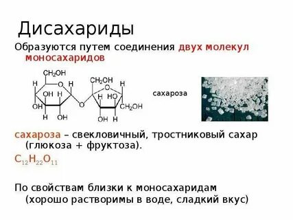 Липиды моносахариды растворимы в воде гидрофобны