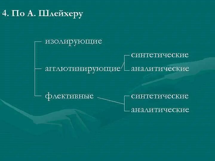 Классификация языков Шлейхера. Типологическая классификация Шлейхера. Морфологическая классификация языков. Август Шлейхер морфологическая классификация языков. Синтетические и аналитические языки