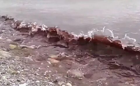 Проблемы с водой в новороссийске