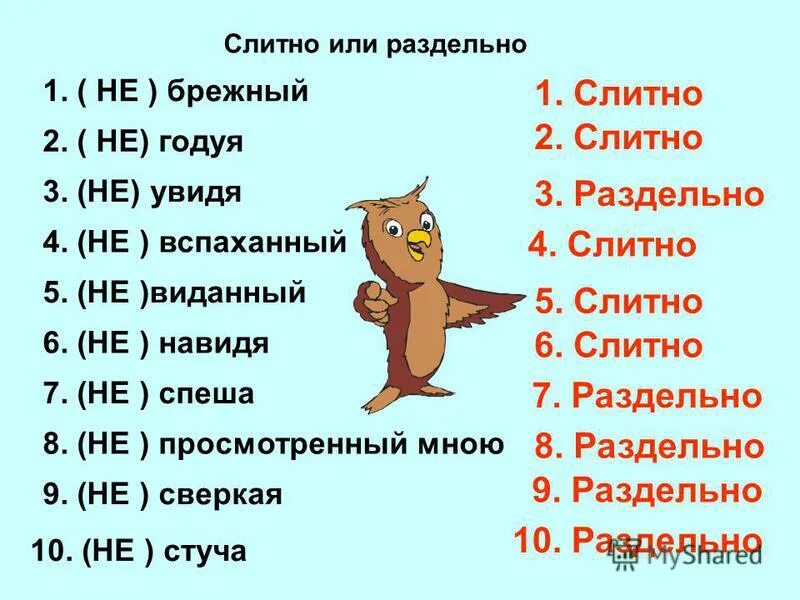 Ни говорили слитно или раздельно. Слитно или не слитно. Не важно слитно или раздельно. Чтобы слитно или раздельно. Не слитно или раздельно.