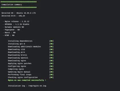 Nginx 1.18