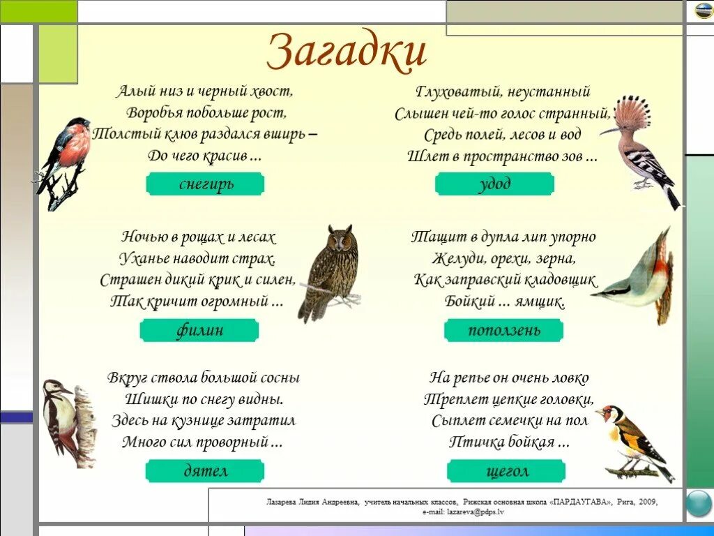 Найти слово птицы 3. Загадки про птиц для дошкольников 5-6. Загадки про лесных птиц. Загадки про птиц для малышей. Детские загадки про птичек.