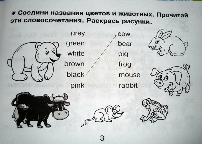 Цвета на английском для малышей задания. Задания про животных на английском. Соедини слово с картинкой. Соединить слово с картинкой на английском.