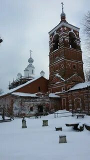 Малые всегодичи д 26