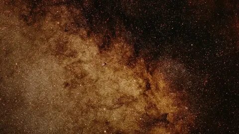 Видео коричневые