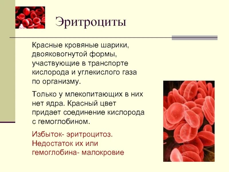 Сообщение по биологии 8 класс. Функции эритроцитов биология 8 класс. эритроциты в крови биология 8 класс. кровь для презентации. эритроциты презентация.