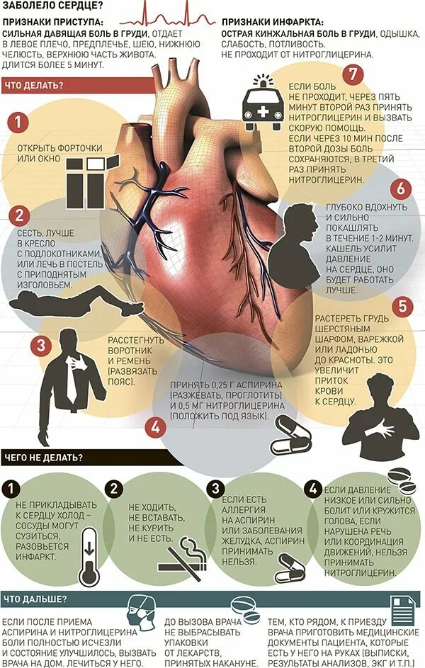 Болит сердце что делать. Сердечно сосудистые заболевания инфографика.
