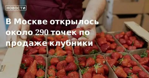 Клубника 2024 москва