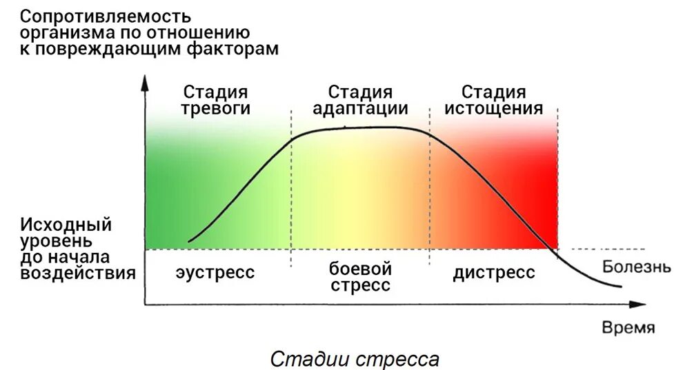 Стадия сопротивления стадия тревоги стадия истощения. Фазы стресса. фазы стресса картинки. стадия тревоги исходы. картинки фазы напряжения при выгорании.