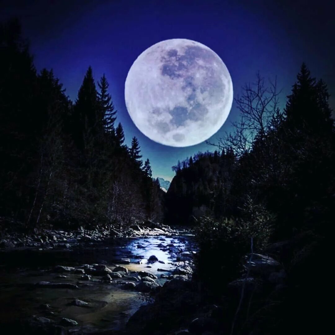 Самая лучшая луна. Красивая Луна. Луна картинки. Огромная Луна. Полная Луна.