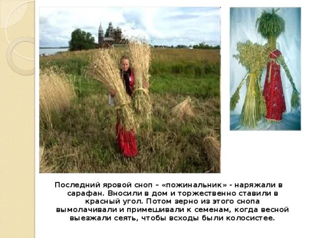 Толковое значение слова сноп. Толковое значение слова сноп