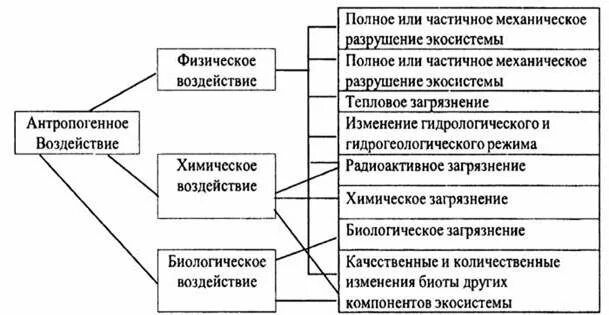Антропогенные воздействия на окружающую природную среду. Основные виды антропогенного воздействия. виды антропогенного воздействия на окружающую среду. антропогенное воздействие на экосистему. схема основные виды антропогенного воздействия на почву.