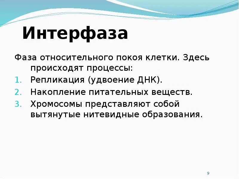 В интерфазе происходит удвоение днк. Интерфаза (фаза между делениями). процессы происходящие в интерфазе. интерфаза митоза процессы. характеристика интерфазы митоза.