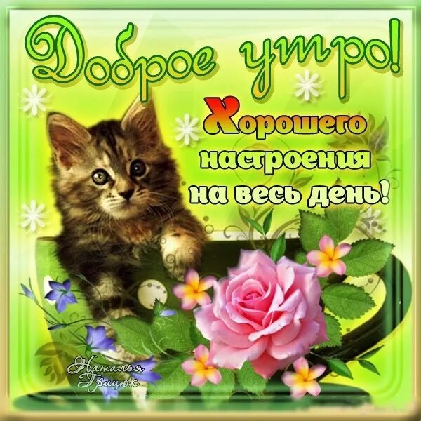Хорошего настроения вацап. Хорошего настроения на весь день. прекрасного настроения на весь день. добрые пожелания на весь день. отличного настроения на весь день.