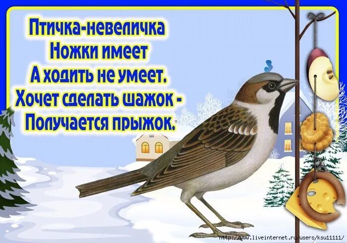 День птиц загадки. Загадки про зимующих птиц для детей. стихи про птиц. загадки про зимующих птиц для дошкольников. стишки про зимующих птиц.