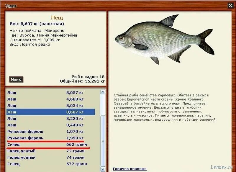 Сколько видов лещей