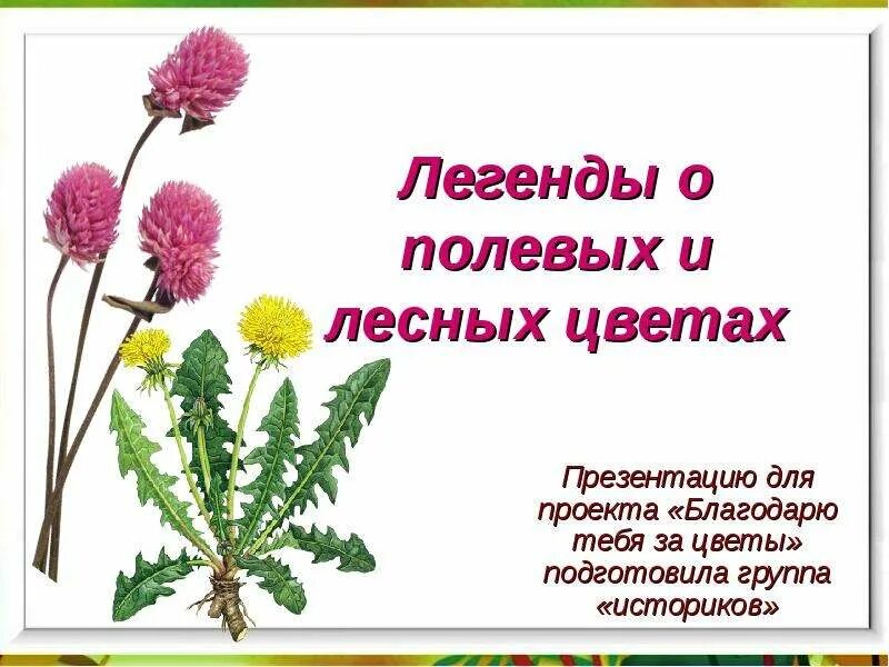 Презентация на тему Полевое растение. Презентация для дошкольников цветы полевые и садовые. Полевые цветы презентация для дошкольников. Легенды о полевых растениях