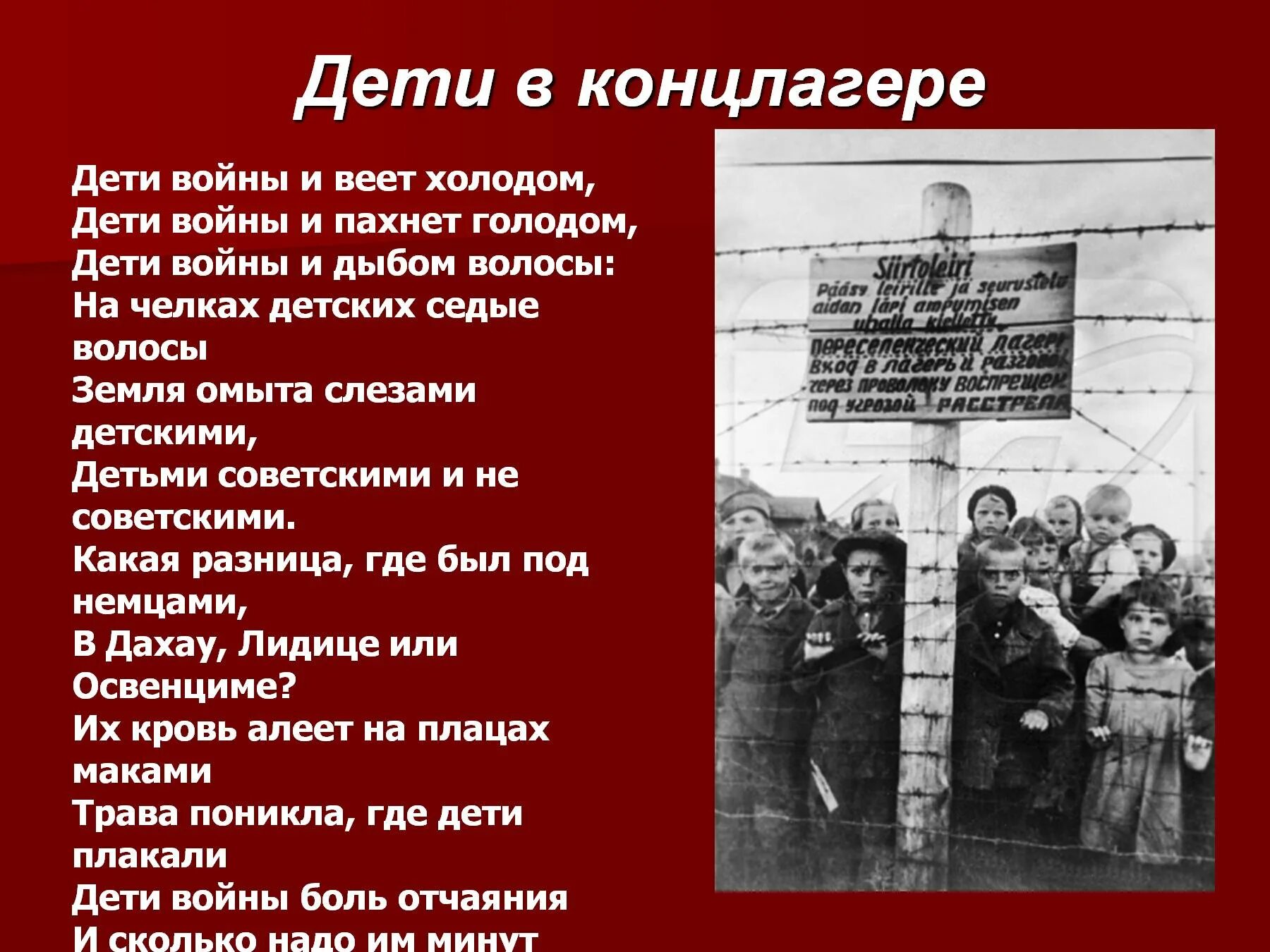 Пахнет голодом. Дети войны. Проект дети войны. Дети концлагеря проект. Проект дети войны презентация.