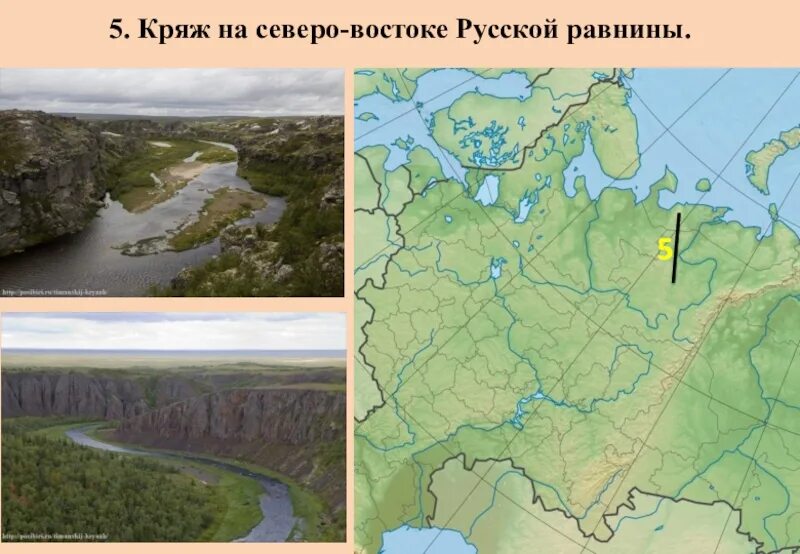 Тиманский кряж форма рельефа. Возвышенность тиманский кряж. тиманский кряж и северные увалы. русская равнина на карте. возвышенность тиманский кряж на карте россии.