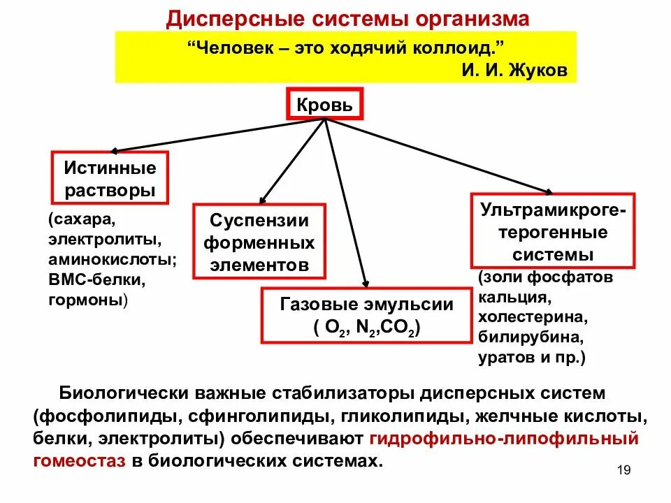 Приведите примеры укажите роль грубодисперсных систем Дисперсные системы и растворы 900 igr net