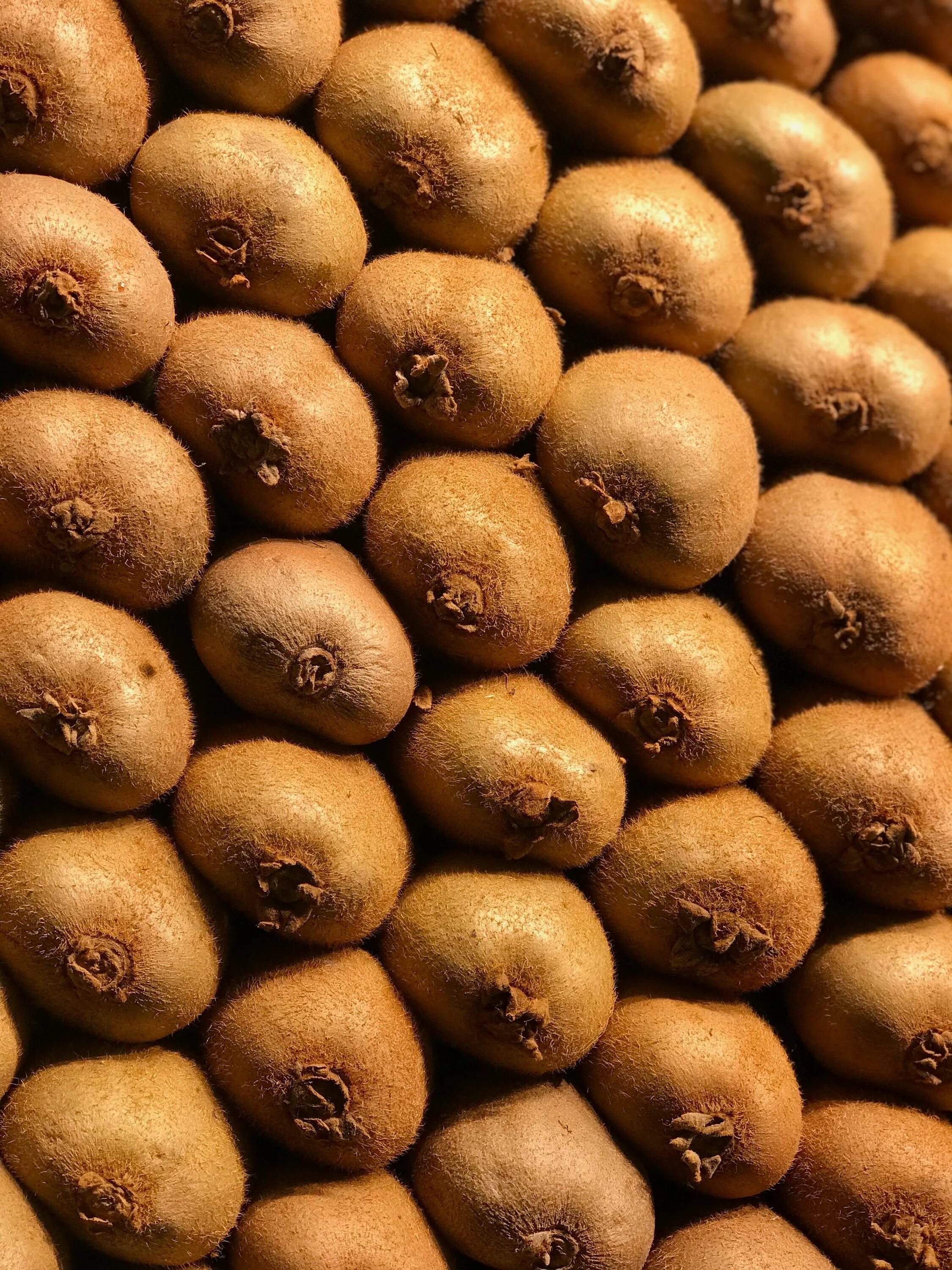 Салак таиланд (змеиный фрукт ). Дерево с коричневыми плодами. Коричневые плоды. Коричневые плоды. Дерево миндаль никитский 62.