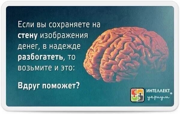 Песня они хотят мои мозги. Мозг в подарок. Возьмите мозг. Сохранить мозг.