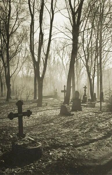 Наровила. Мужчины курят. Наровила. Челяковицкое кладбище чехия. Одинокий парень с сигаретой.