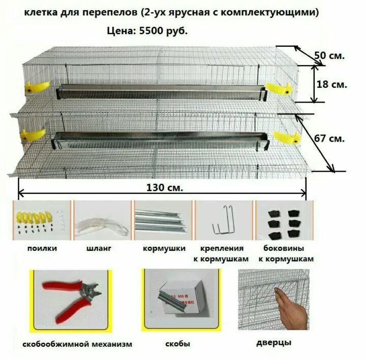 Перепелиная клетка своими руками чертежи и размеры Смотрите видео "Перепелиная клетка. Клетка батарея. Клетка для перепелов своими