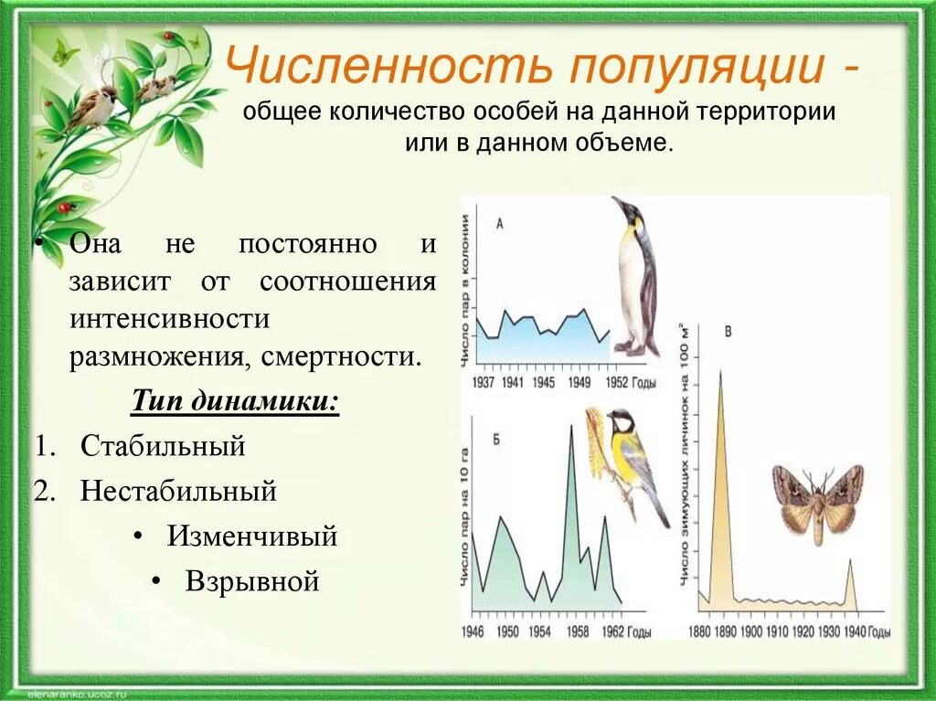 Численность популяции. Типы динамики численности популяции. Численность популяции презентация. Популяция плотность популяции. Увеличение разнообразия особей