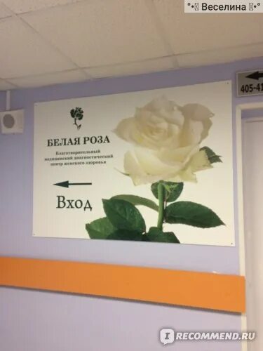 Поликлиническое отделение № 123, Моравский переулок, 5, Санкт-Петербург - 2ГИС