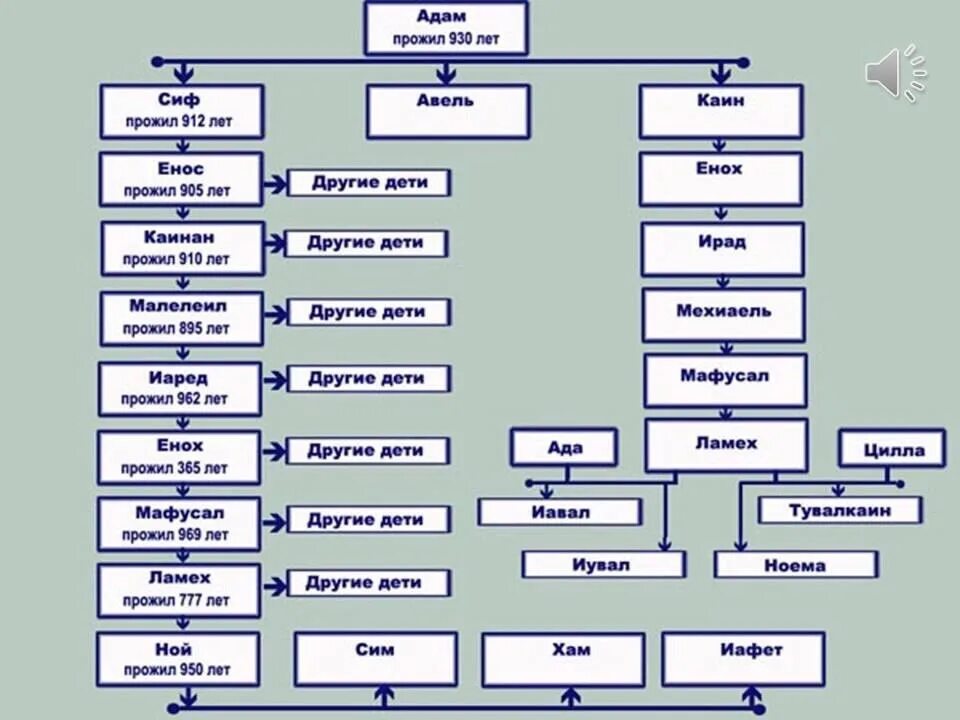 Библейская родословная. Ветхий завет родословная от адама. родословная христа от адама схема. генеалогическое древо от адама и евы до иисуса христа. библия родословная от адама и евы.