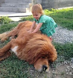 Самый большой тибетский