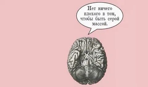 Мозг есть но мало