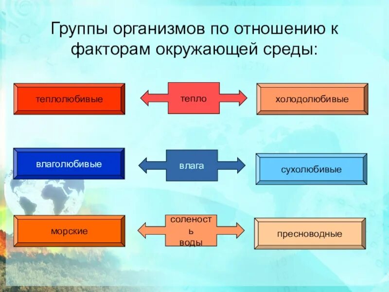 Категория группы организмов. Взаимодействие организма и среды. Взаимосвязь организма и среды. Взаимосвязи организмов и окружающей среды. Взаимодействие организмов с окружающей средой.