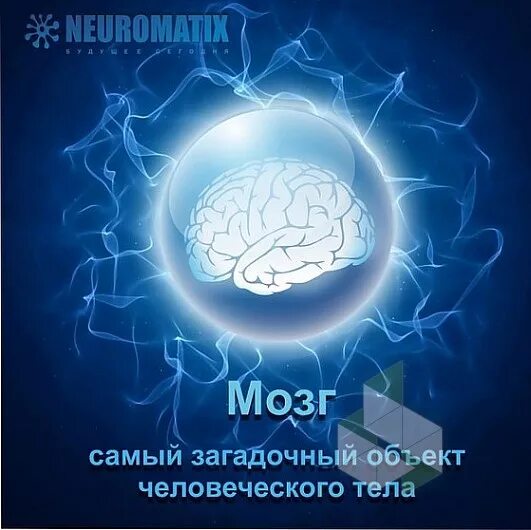 Интересные факты о человеческом мозге. Факты о головном мозге. Интересные факты о мозге. Факты о головном мозге. Факты о мозге.
