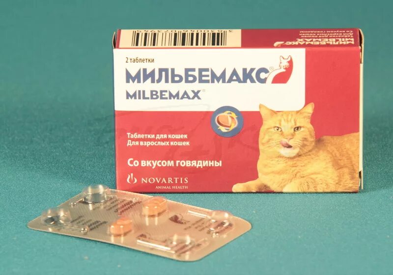 Петкам 0.5 для кошек купить. Мильбемакс антигельминтик для кошек 2 табл. (24 уп/240кор) 16/40 мг. Мильбемакс антигельминтик для кошек. Мильбемакс для кошек 1 таблетка. Антигельминтик Elanco Мильбемакс для кошек, 2 таблетки.