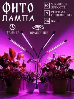 Лампа plant