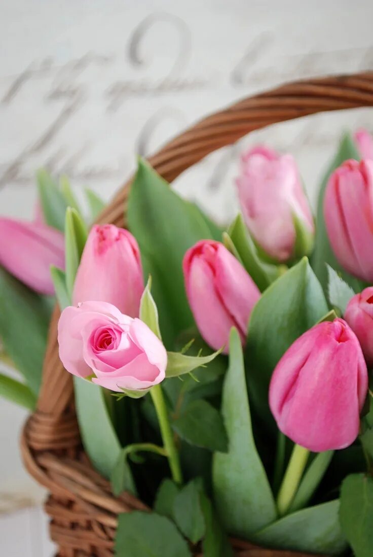 Хорошего дня тюльпаны картинки. Красивые тюльпаны. Розовые тюльпаны. Букет тюльпанов.