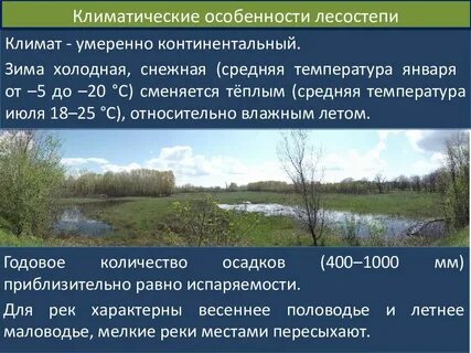 Средняя температура летом в лесостепях