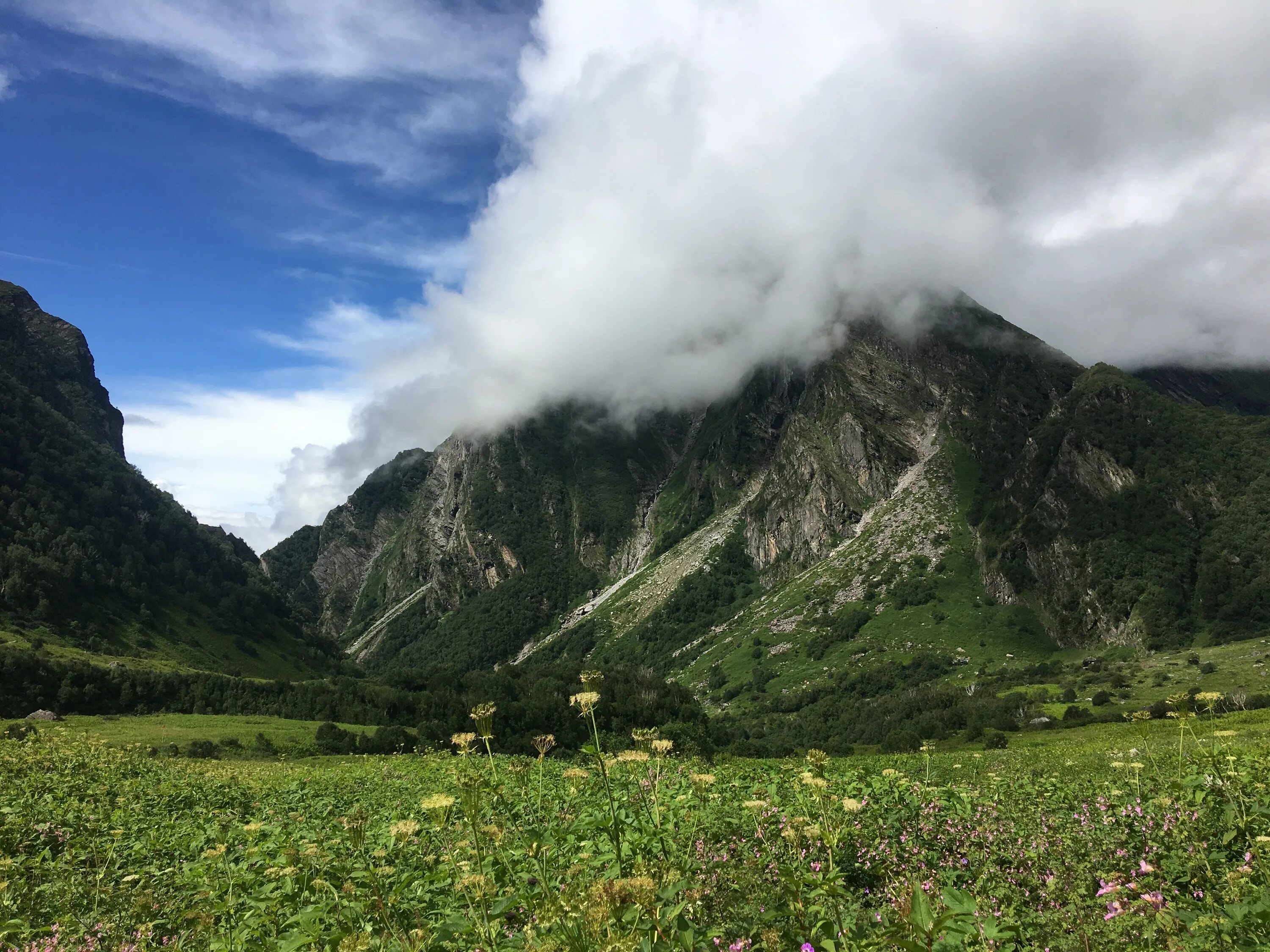 Предгорья гималаев