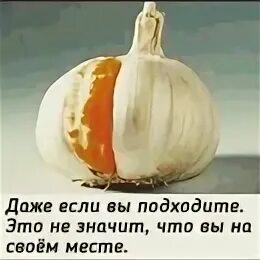 То что подходит вам и
