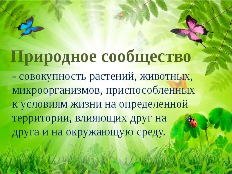 Природные сообщества. Презентация на тему природные сообщества. Сообщества в природе. Что такое природное сообщество кратко. Конспект урока 3 класс природные сообщества