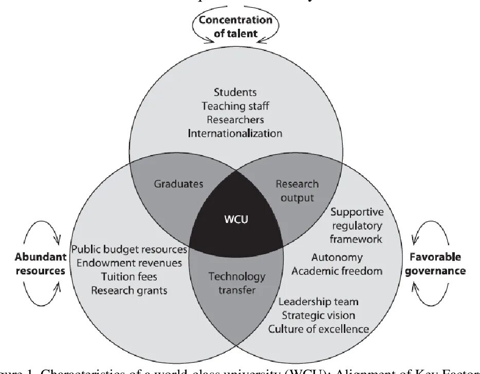 Internationalization of higher Education. Regulatory Framework. Educational and regulatory Framework. Russia's operational Framework Figure.