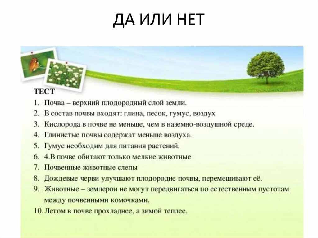 Задания на тему почва. Вопросы по теме почва. Вопросы про почву. Тест почва.