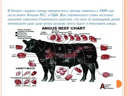 Почему мясо коровы называется говядина