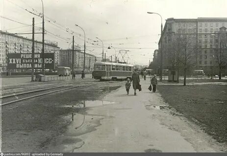 Старый сокол