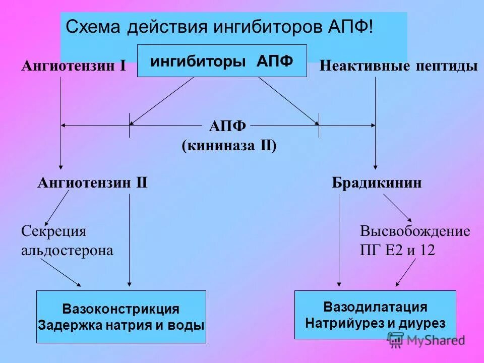 Ингибиторы ангиотензинпревращающего фермента иапф. Ингибиторы апф схема. ингибиторы апф схема действия. иапф схема. ингибиторы ангиотензинпревращающего фермента.